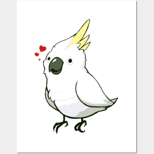Cockatoo 1 Posters and Art